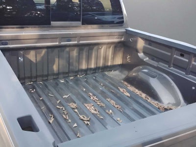 2016 Chevrolet Colorado 2WD LT