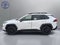 2020 Toyota RAV4 Adventure