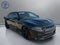 2019 Dodge Charger R/T RWD