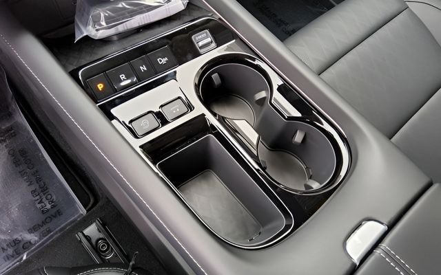 2026 Nissan N/A Platinum