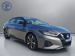 2023 Nissan Maxima SV