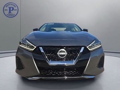 2023 Nissan Maxima SV