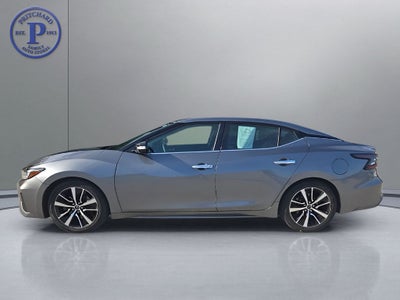 2023 Nissan Maxima SV