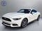2015 Ford Mustang GT 50 Years Limited Edition
