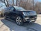 2020 Ford Expedition Max Platinum