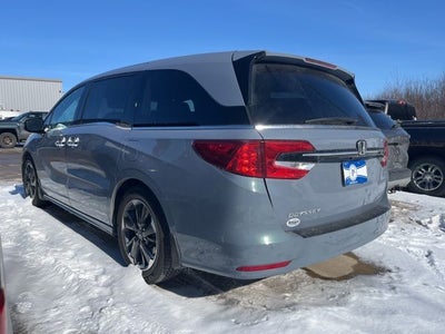 2023 Honda Odyssey Elite