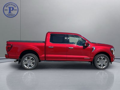 2024 Ford F-150 Platinum