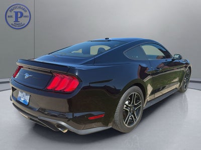 2020 Ford Mustang EcoBoost